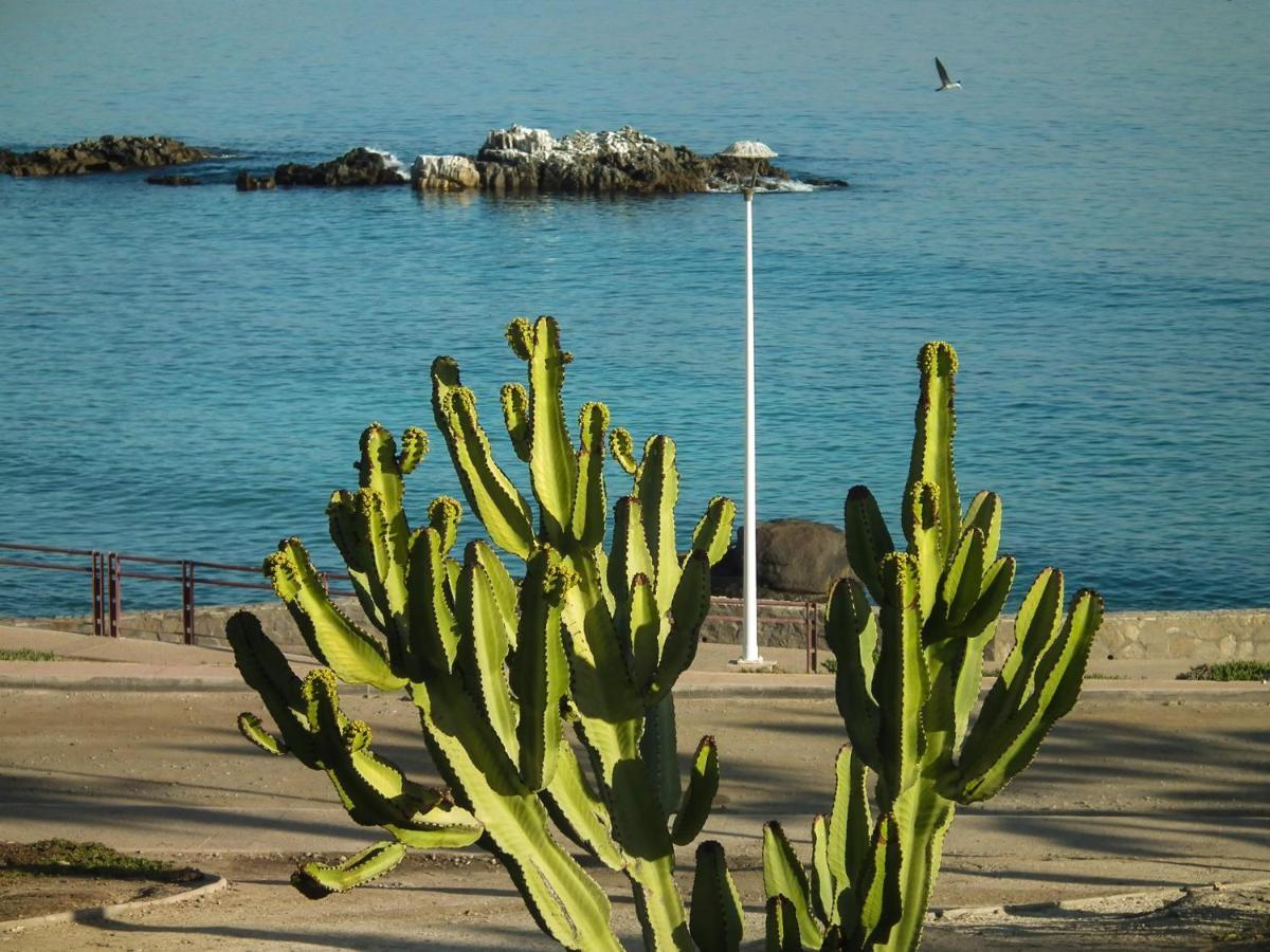 Hotel K Bahia Inglesa Dış mekan fotoğraf
