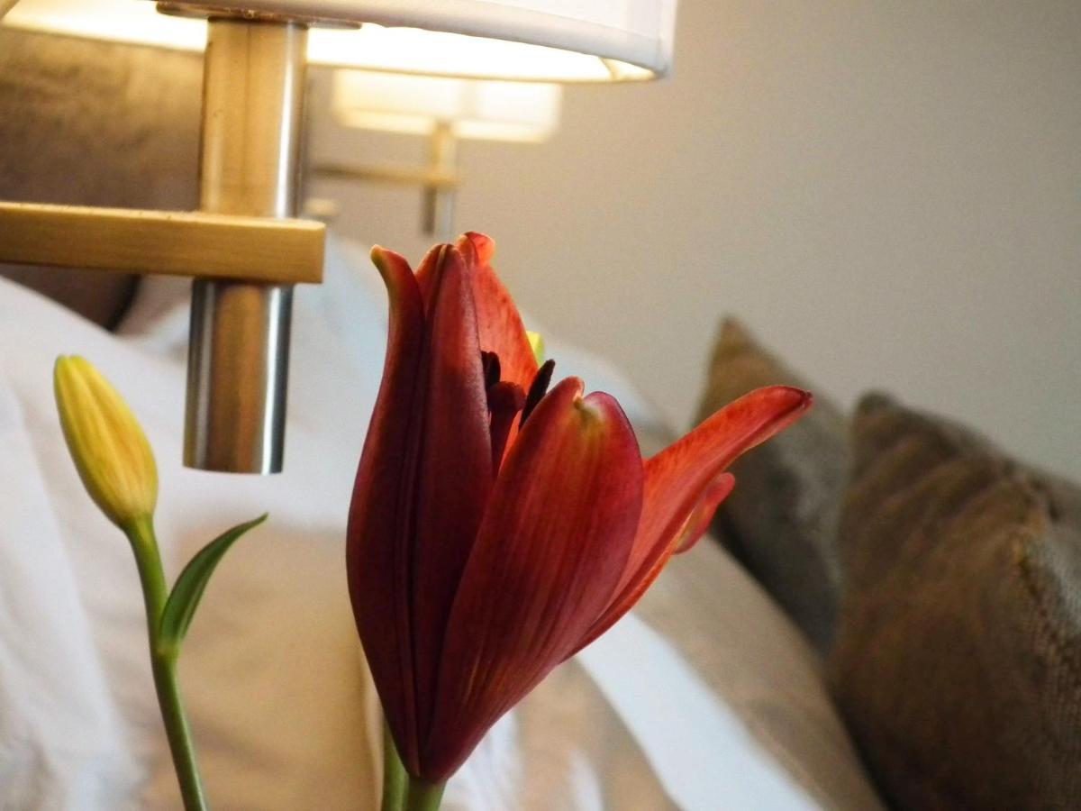 Hotel K Bahia Inglesa Dış mekan fotoğraf